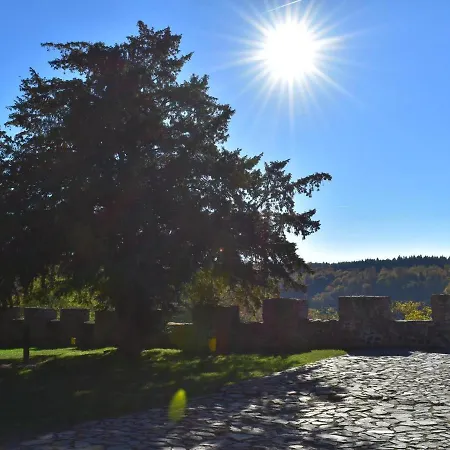 Harzlodge Emma Lejlighed Braunlage